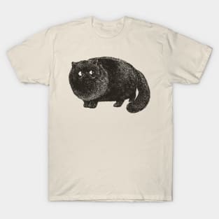 Black Cat Cat T-Shirt